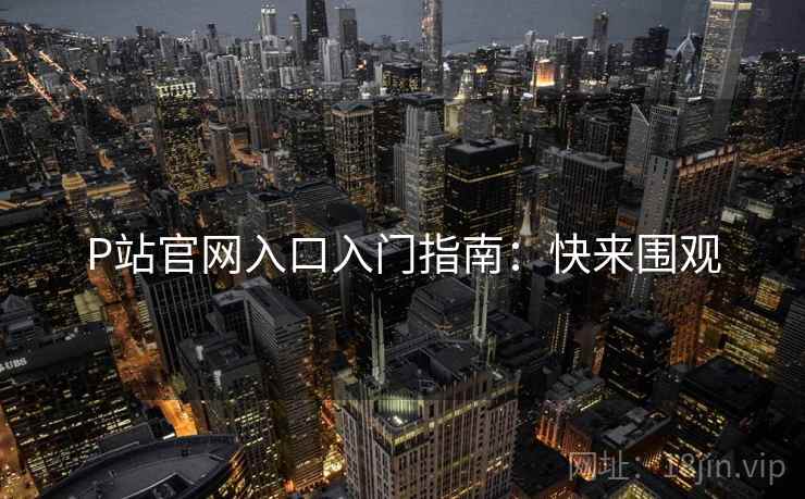 P站官网入口入门指南:快来围观 P站官网入口入门指南:快来围观
