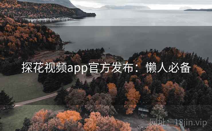 探花视频app官方发布：懒人必备