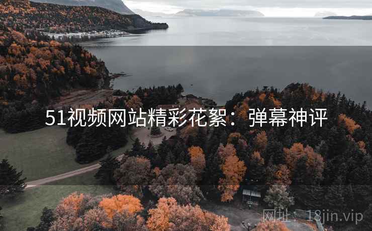 51视频网站精彩花絮：弹幕神评